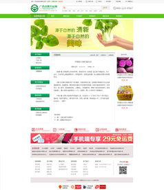 2015年農(nóng)產(chǎn)品時(shí)尚購物網(wǎng)站 融合設(shè)計(jì)美學(xué)與便捷配送的一站式解決方案